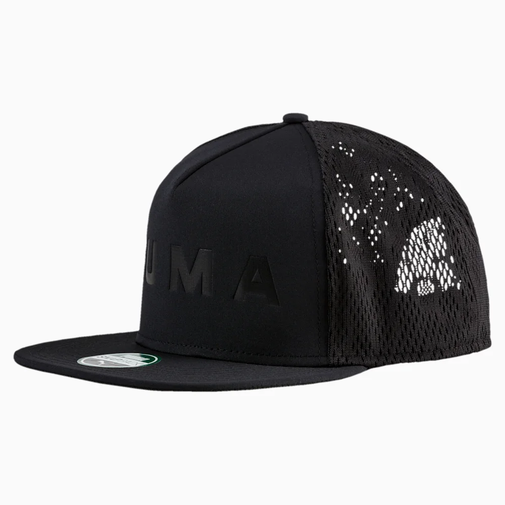 PUMA EVOLUTION SB in BLACK