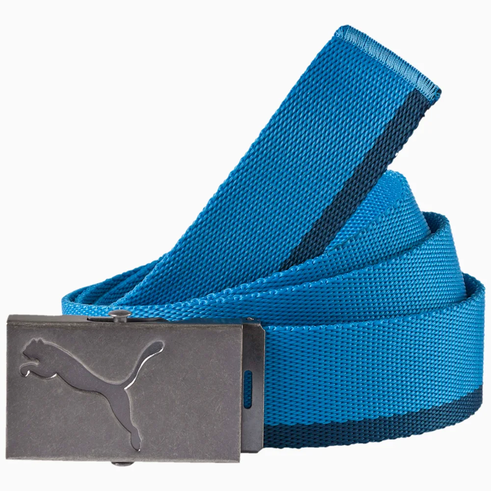 PUMA COREWEBBINGBELTANTIQUE in Standard