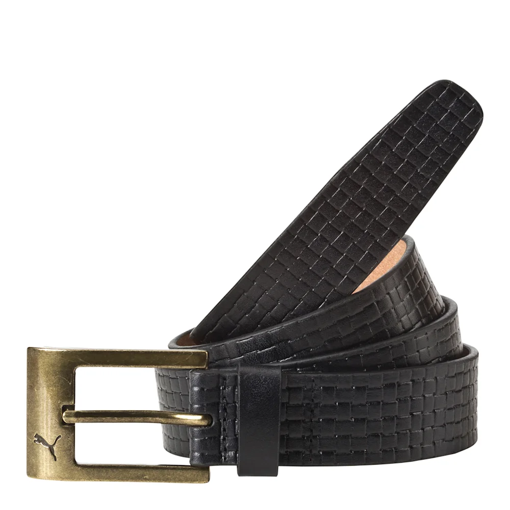 PUMA LEATHERBELTBLACK-BRUSHE in Standard