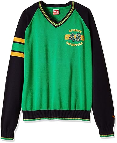 PUMA COLOR BLOCKED SWEATER FER in Standard