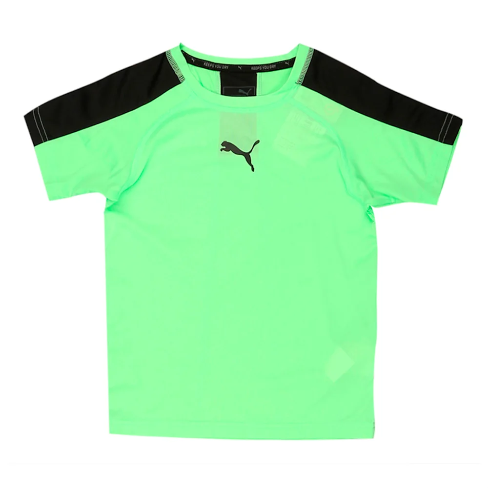PUMA ACTIVE CELL TEE 2 GREEN GECKO HEATHER in Standard