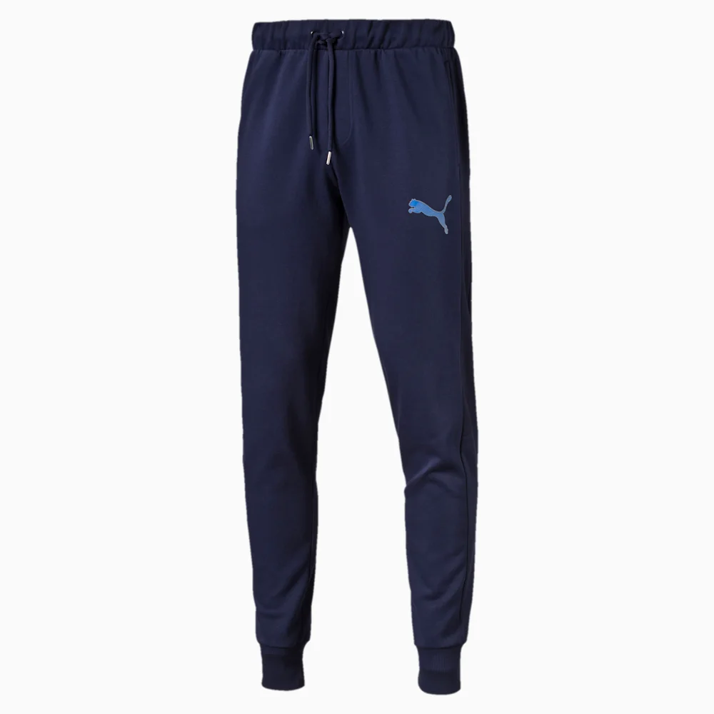 PUMA FORMSTRIPE SOCCER PANTS FLCL P in Standard