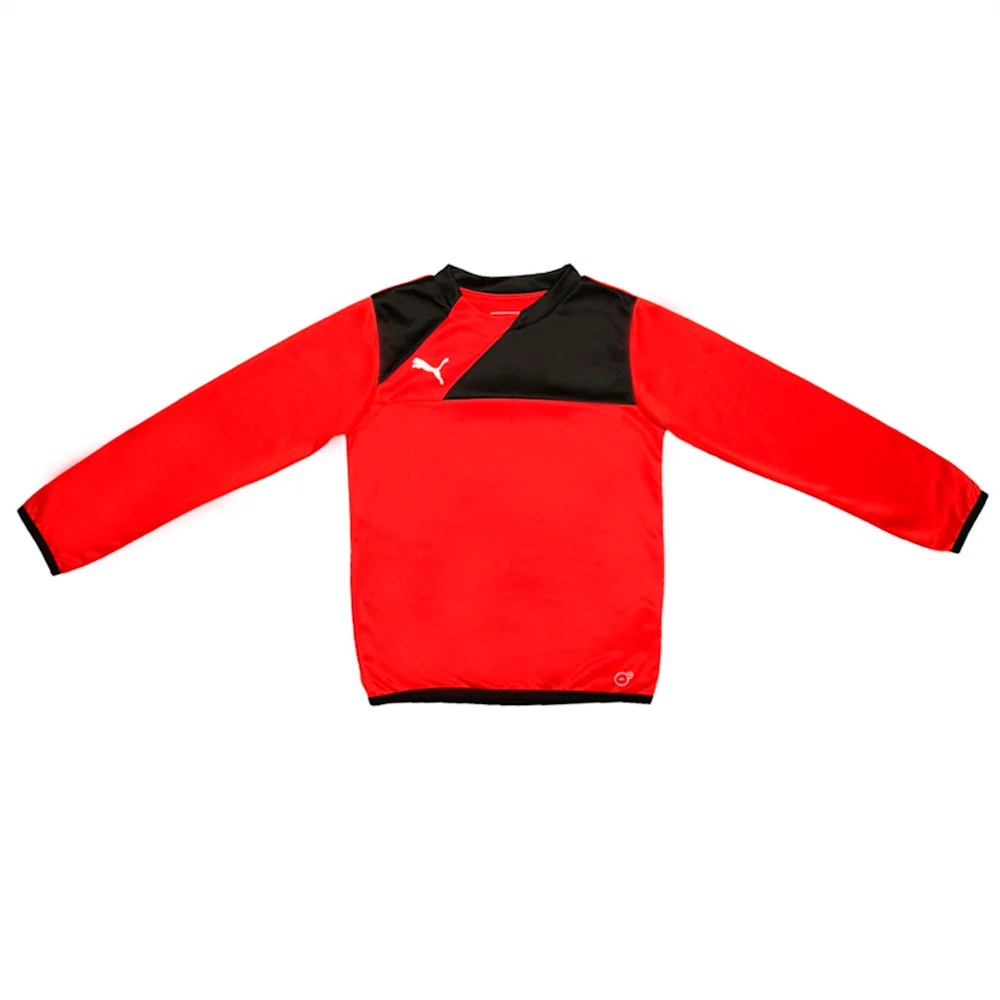 PUMA ESQUADRA TRAINING SWEAT R in Standard