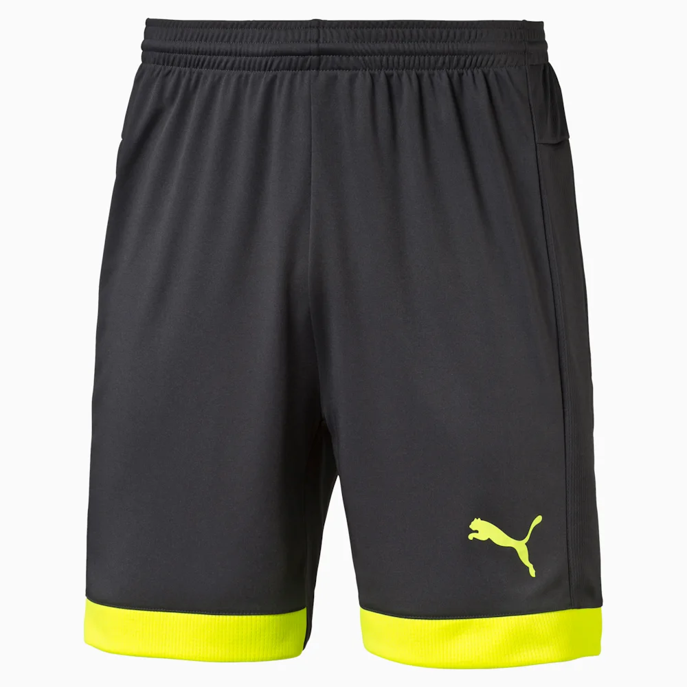 PUMA IT EVOTRG SHORTS ASPHALT-SAFET in Standard