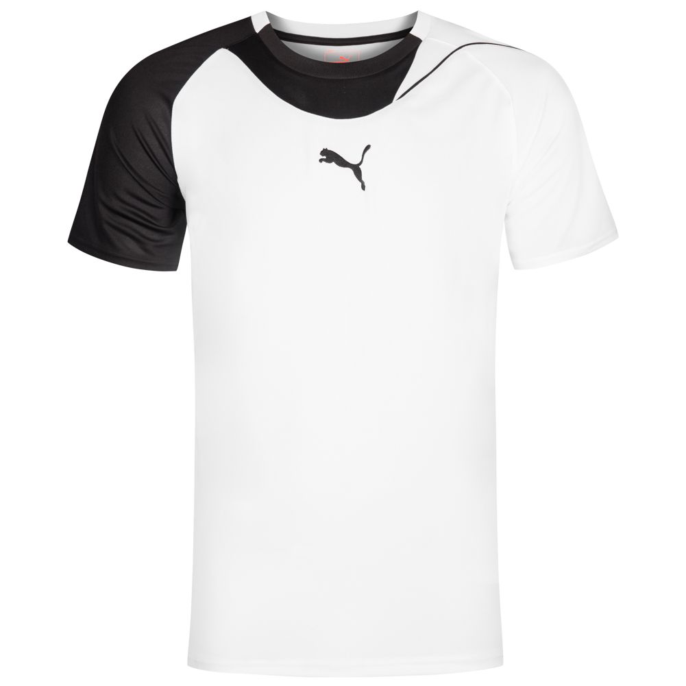 PUMA POWERCAT HANDBALL 5.10 SHIRT W in Standard