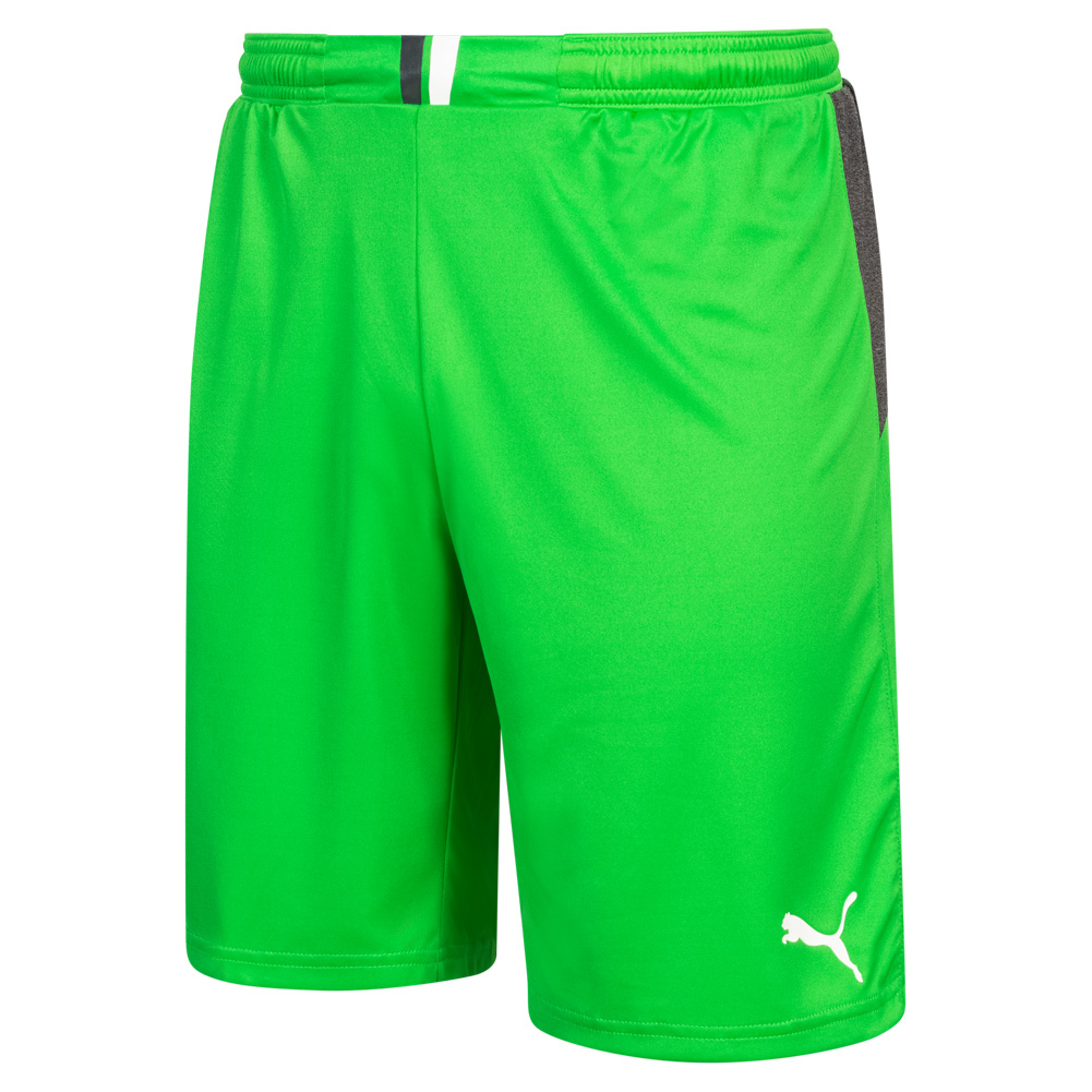 PUMA KING GK SHORTS CLASSIC GREEN-D in Standard