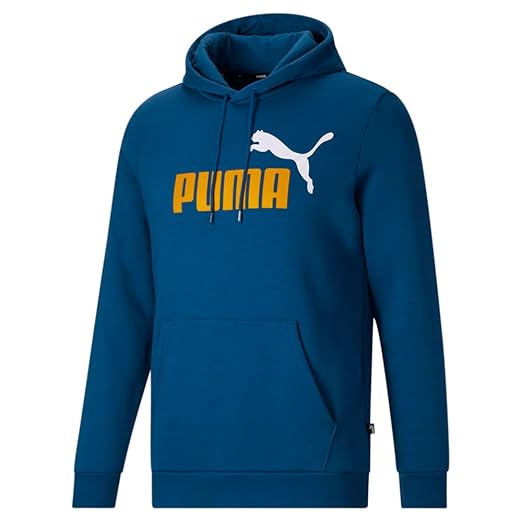 PUMA FUN GRAPHIC HOODED SWEAT FL SODALITE BLU in Standard