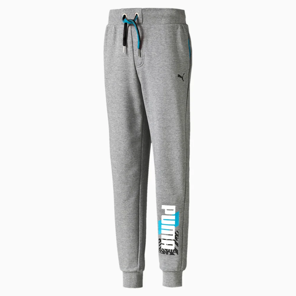 PUMA FUN IND GRAPHIC SWEAT PANTS, C in Standard
