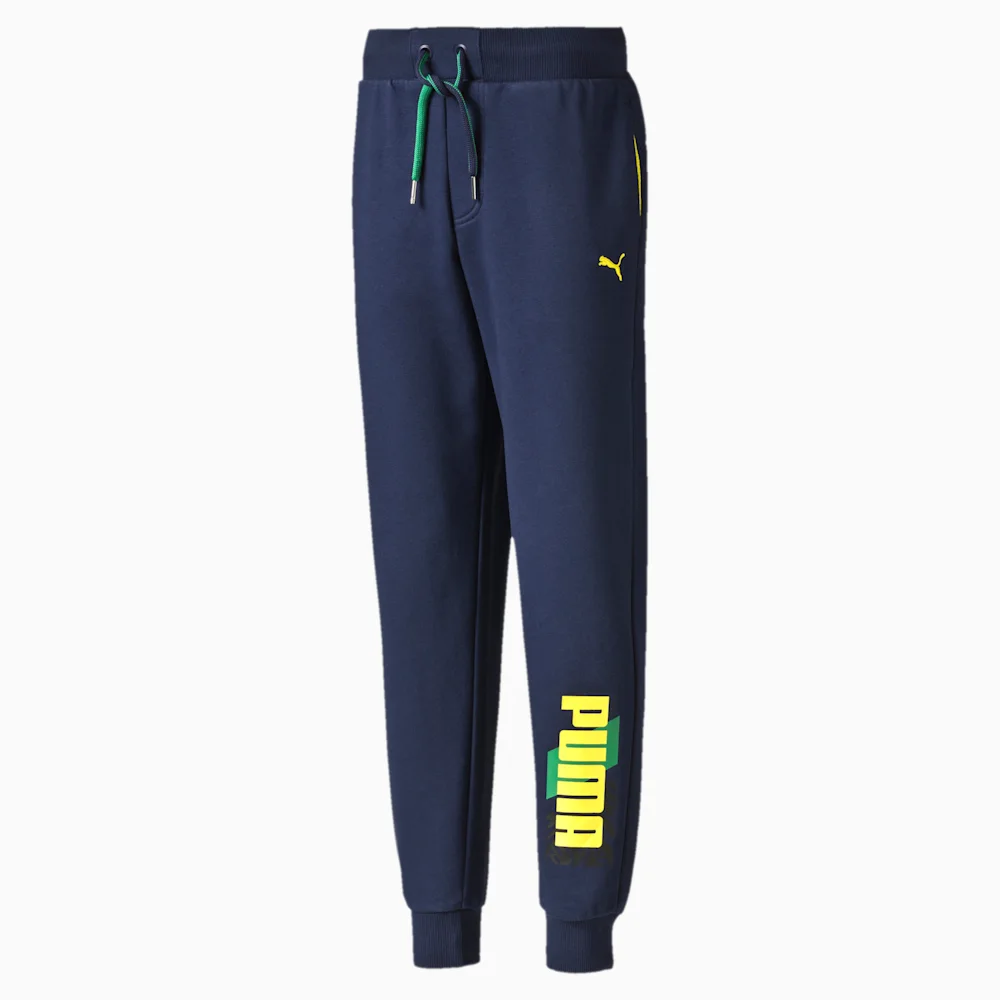 PUMA FUN IND GRAPHIC SWEAT PANTS, C in Standard