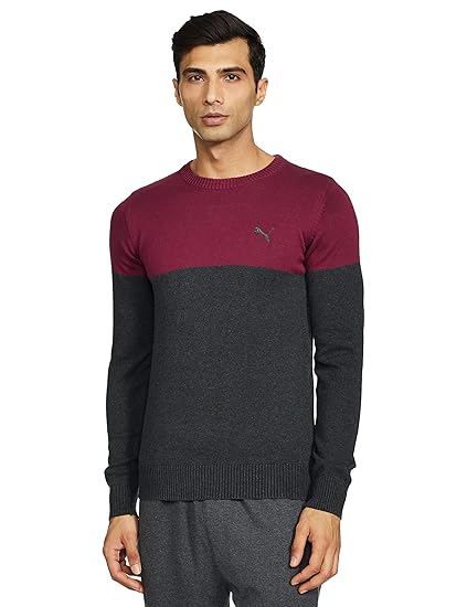 PUMA COLOR BLOCK L S SWEATER DARK G in Standard